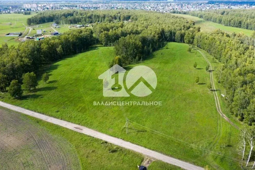 Участок в Новосибирская область, Новосибирский район, Морской ... - Фото 1