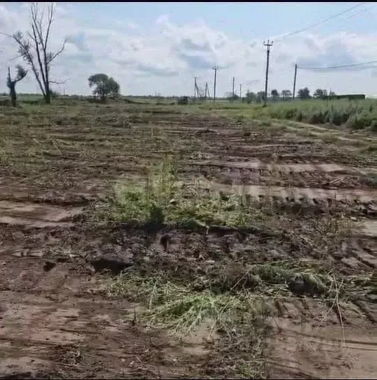 Участок в Амурская область, Благовещенский район, с. Волково  (15359.0 ... - Фото 1