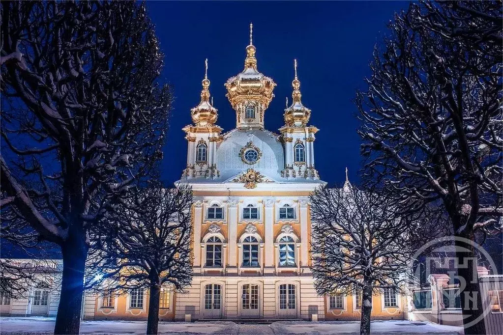 1-к кв. Санкт-Петербург, Санкт-Петербург, Петергоф Собственный просп., ... - Фото 1