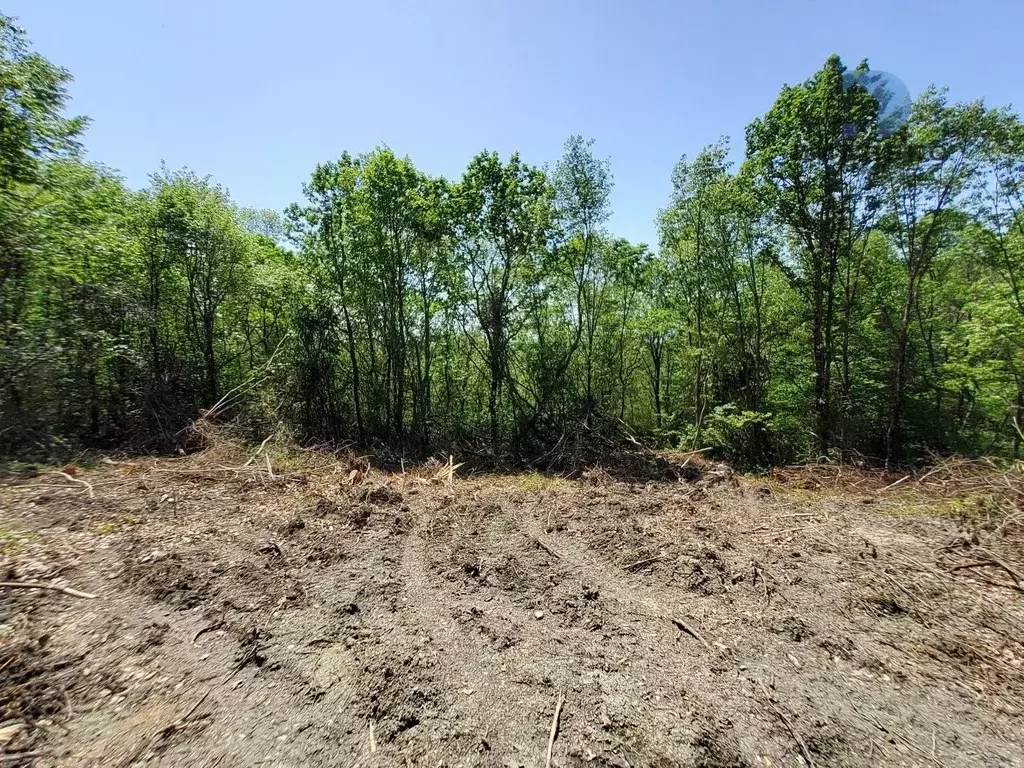 Участок в Краснодарский край, Сочи городской округ, с. Верхнее Буу ул. ... - Фото 1