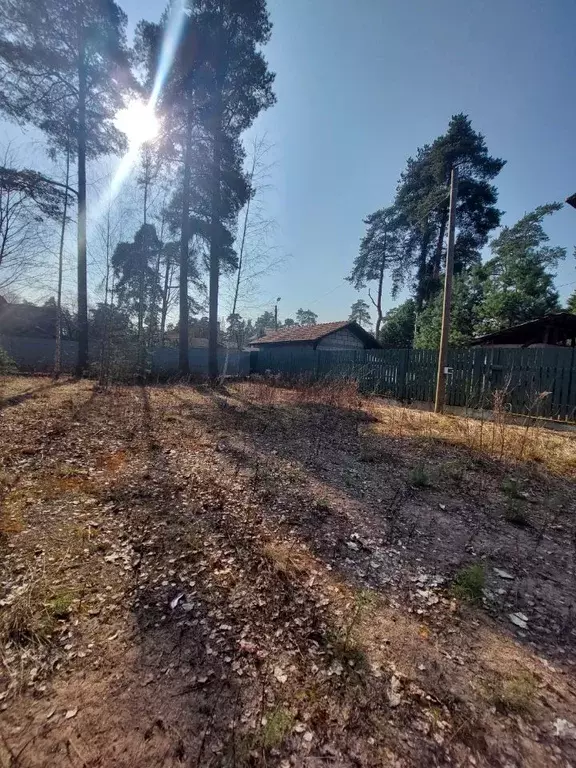 Участок в Санкт-Петербург Ольгино тер., ул. Коммунаров, 49 (14.5 сот.) - Фото 1