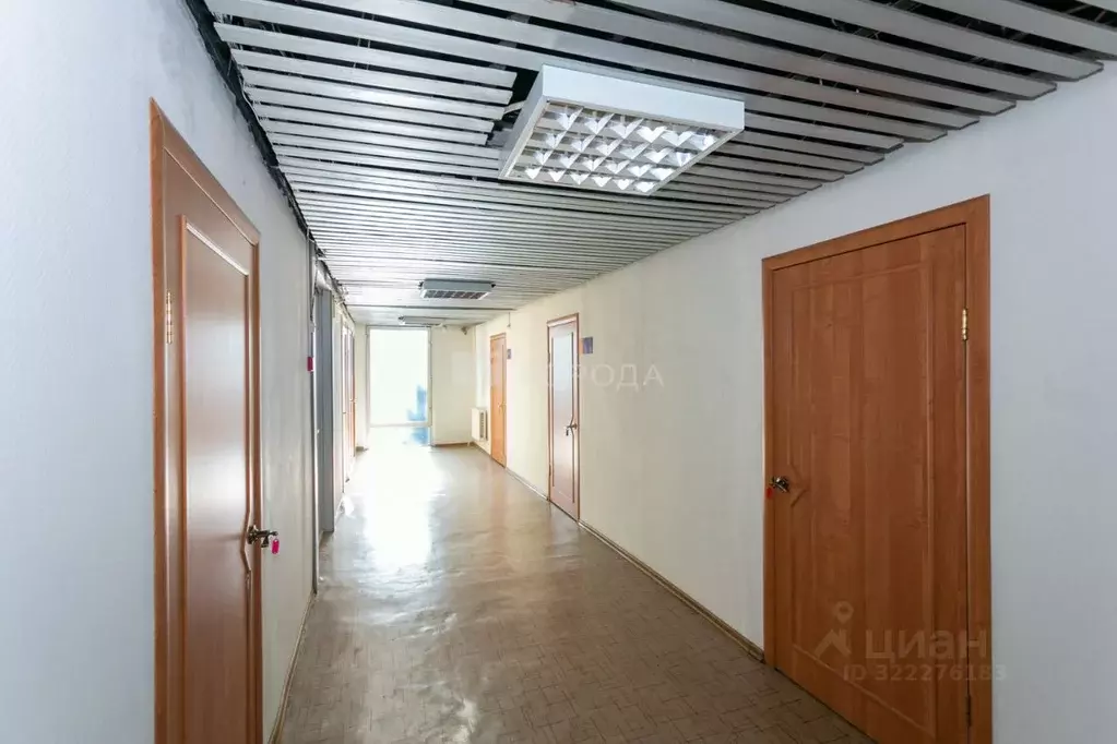 Офис в Новосибирская область, Новосибирский район, Краснообск рп ул. ... - Фото 1