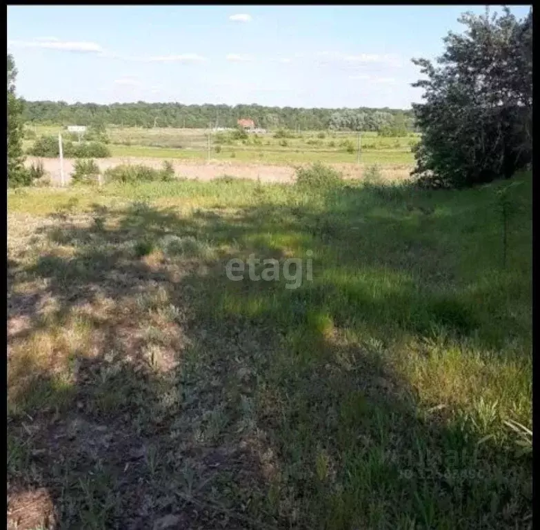 Участок в Воронежская область, Рамонский район, с. Березово ул. ... - Фото 1