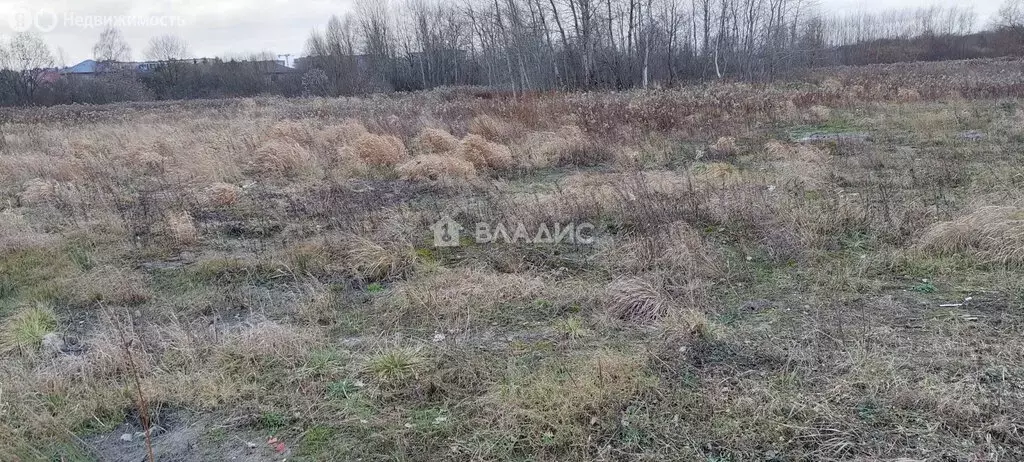 Участок в Калининградская область, Гурьевский муниципальный округ, ... - Фото 2
