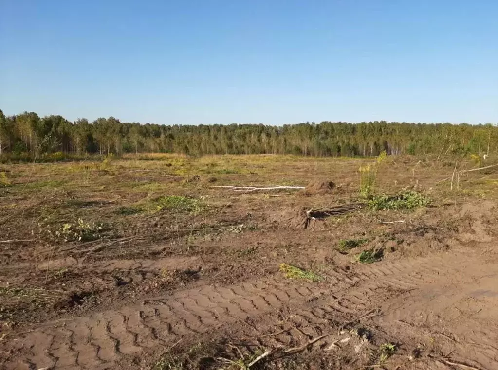 Участок в Новосибирская область, Новосибирский район, Кубовинский ... - Фото 2
