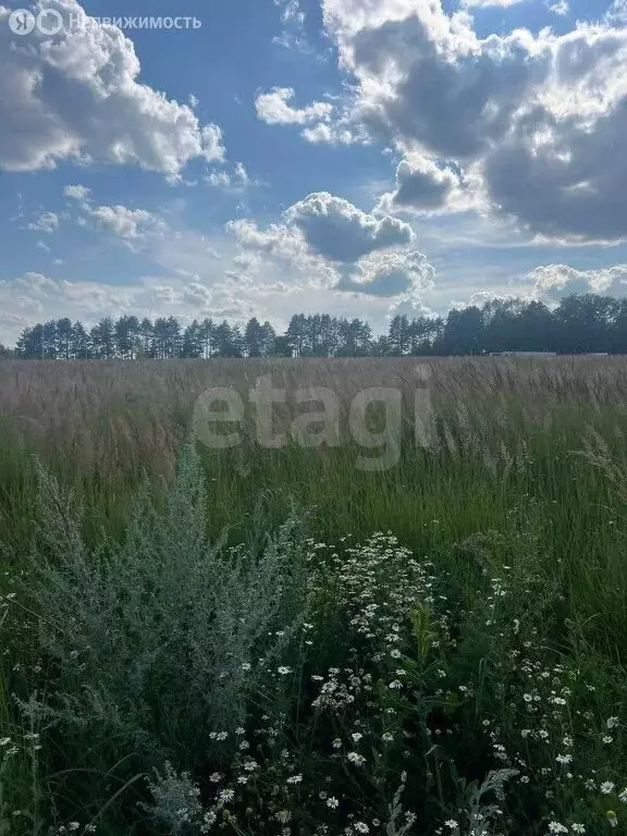 Участок в Республика Мордовия, городской округ Саранск, посёлок ... - Фото 1