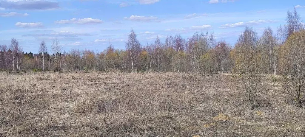 Участок в Московская область, Солнечногорск городской округ, д. Мостки ... - Фото 0
