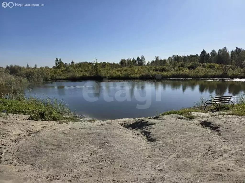 Участок в Тюмень, СНТ Царево, Тальниковая улица (15 м) - Фото 2
