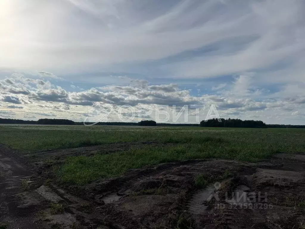 Участок в Тюменская область, Тюменский муниципальный округ, ... - Фото 1
