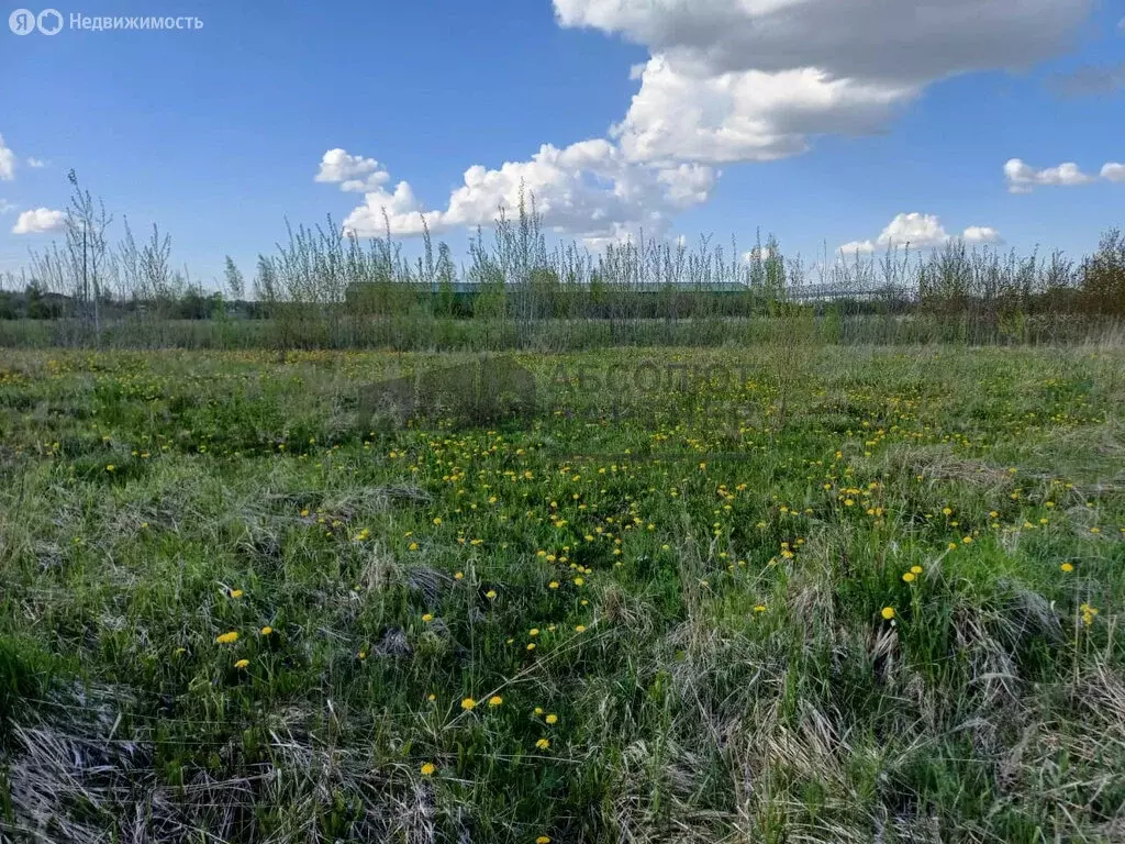 Участок в Савинское сельское поселение, деревня Слутка (15 м) - Фото 0