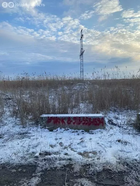 Участок в Елизаветинское сельское поселение, хутор Городище, ... - Фото 0