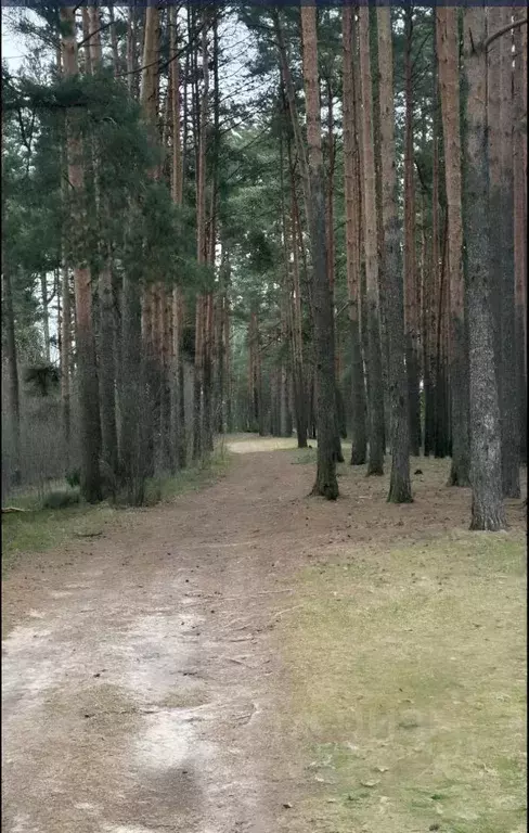 Участок в Тверская область, Калининский муниципальный округ, д. ... - Фото 1