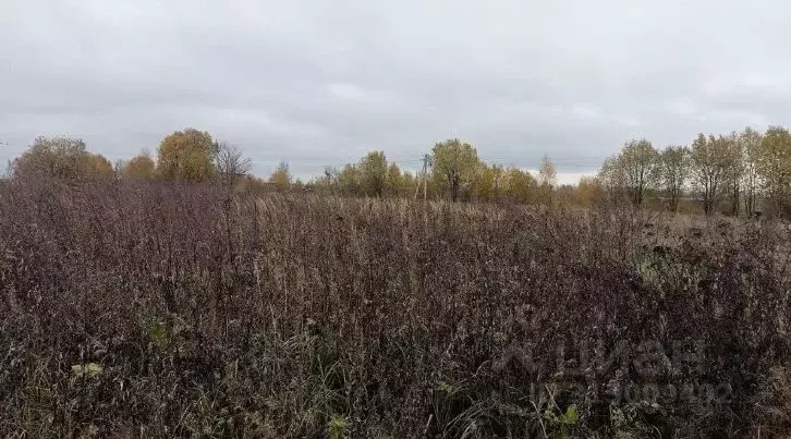 Участок в Московская область, Дмитровский муниципальный округ, д. ... - Фото 0