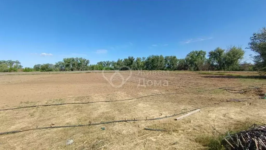 Участок в Волгоградская область, Среднеахтубинский район, Кировское ... - Фото 0