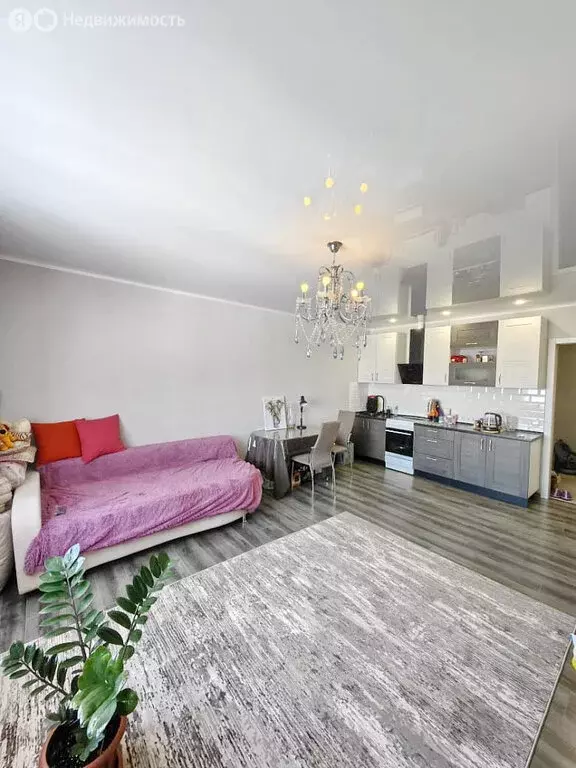 Квартира-студия: Новосибирск, Плющихинская улица, 6 (33 м) - Фото 0