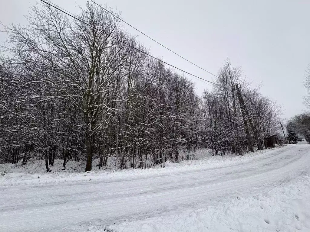Участок в Ленинградская область, Гатчинский муниципальный округ, д. ... - Фото 1