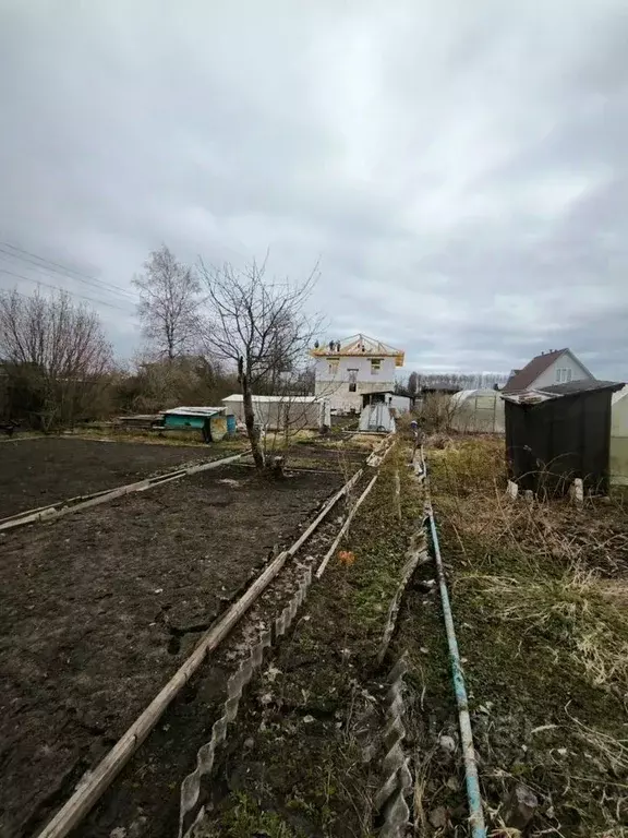 Участок в Московская область, Дубна Репка СНТ, 16-й сектор,  (5.0 ... - Фото 0