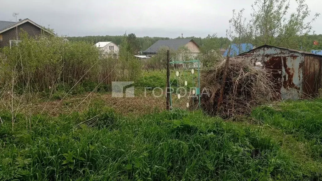 Участок в Новосибирская область, Новосибирский район, Каменский ... - Фото 1