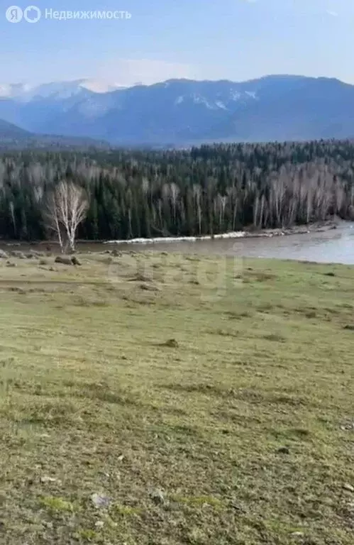 Участок в Усть-Коксинский район, село Тюнгур (16 м) - Фото 0