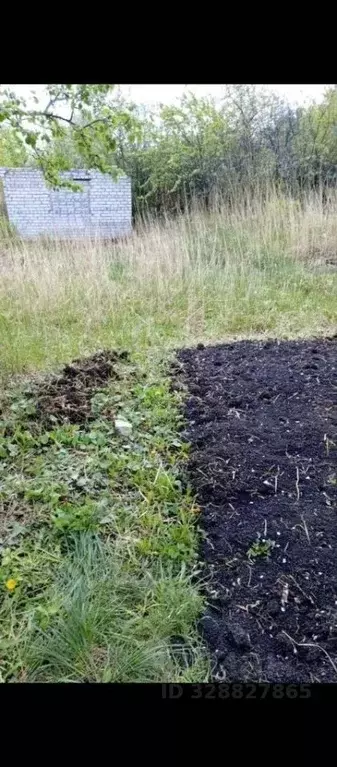Участок в Ульяновская область, Ульяновск Динамо СНТ,  (4.9 сот.) - Фото 1