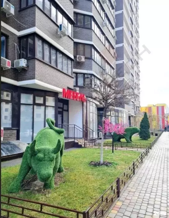 Помещение свободного назначения в Краснодарский край, Краснодар Имени ... - Фото 1