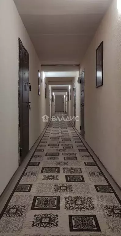 Студия Карелия, Сегежа Лесная ул., 3А (35.4 м) - Фото 2
