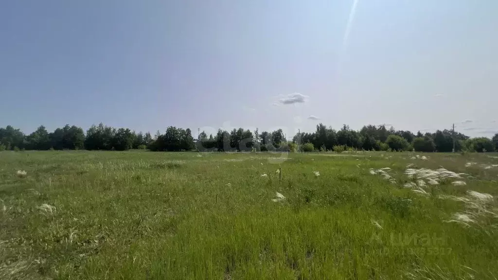 Участок в Белгородская область, Старооскольский городской округ, с. ... - Фото 0