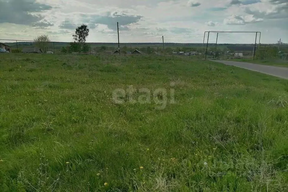 Участок в Мордовия, Ромодановский район, с. Пятина Советская ул. (10.0 ... - Фото 2