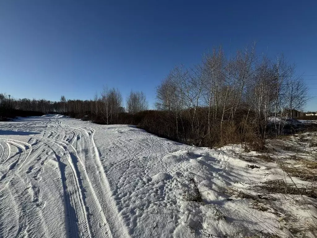 Участок в Омская область, Омск ул. Ивана Улыбина (24.0 сот.) - Фото 1