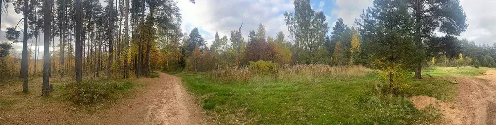 Участок в Ленинградская область, Приозерский район, Сосновское с/пос, ... - Фото 1