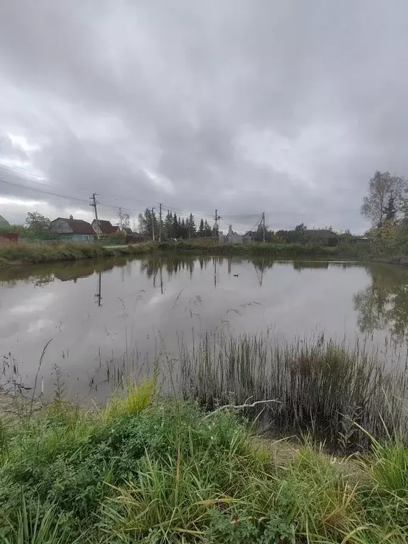 Дом в Ленинградская область, Киришский район, Кусинское с/пос, Березка ... - Фото 1
