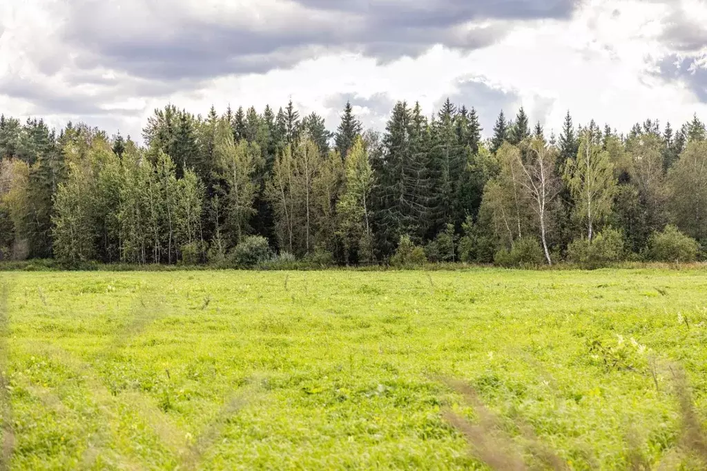 Участок в Московская область, Одинцовский городской округ, Мэдисон ... - Фото 0