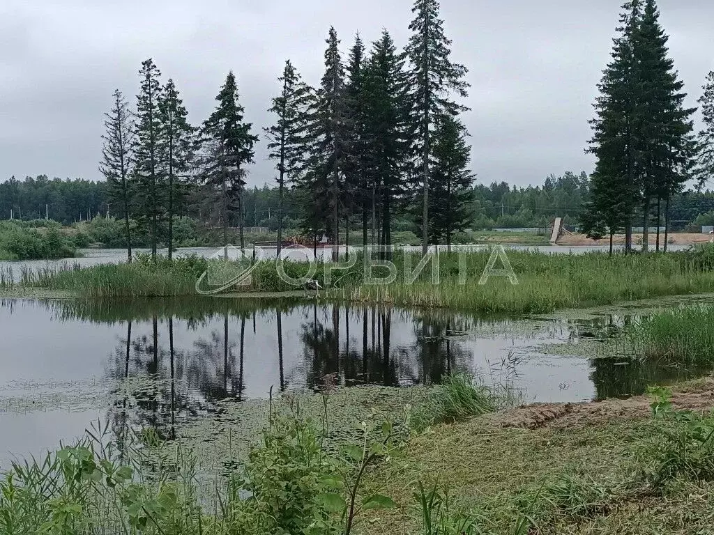 Участок в Тюменская область, Нижнетавдинский район, Геолог-2 СНТ  ... - Фото 1