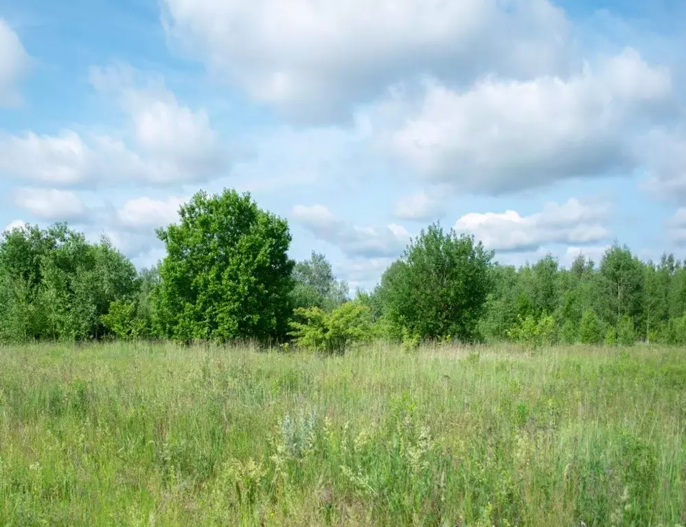 Участок в Тульская область, Ясногорский район, Иваньковское с/пос, д. ... - Фото 2