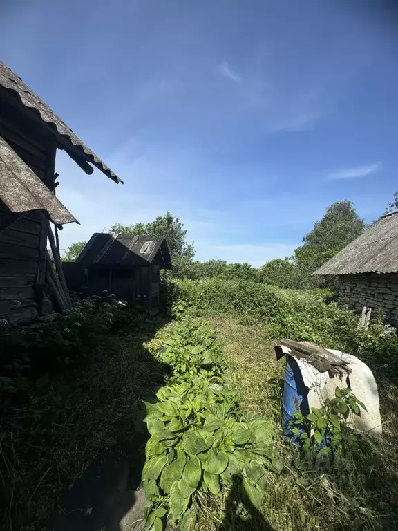 Дом в Псковская область, Псковский район, Ядровская волость, д. ... - Фото 2