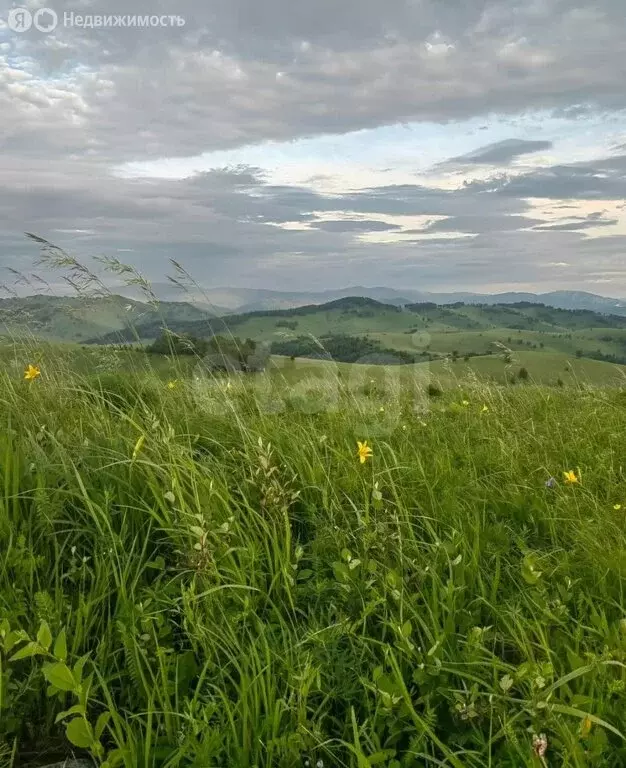 Участок в Алтайский район, ДНТ Жемчужина Алтая (10 м) - Фото 1
