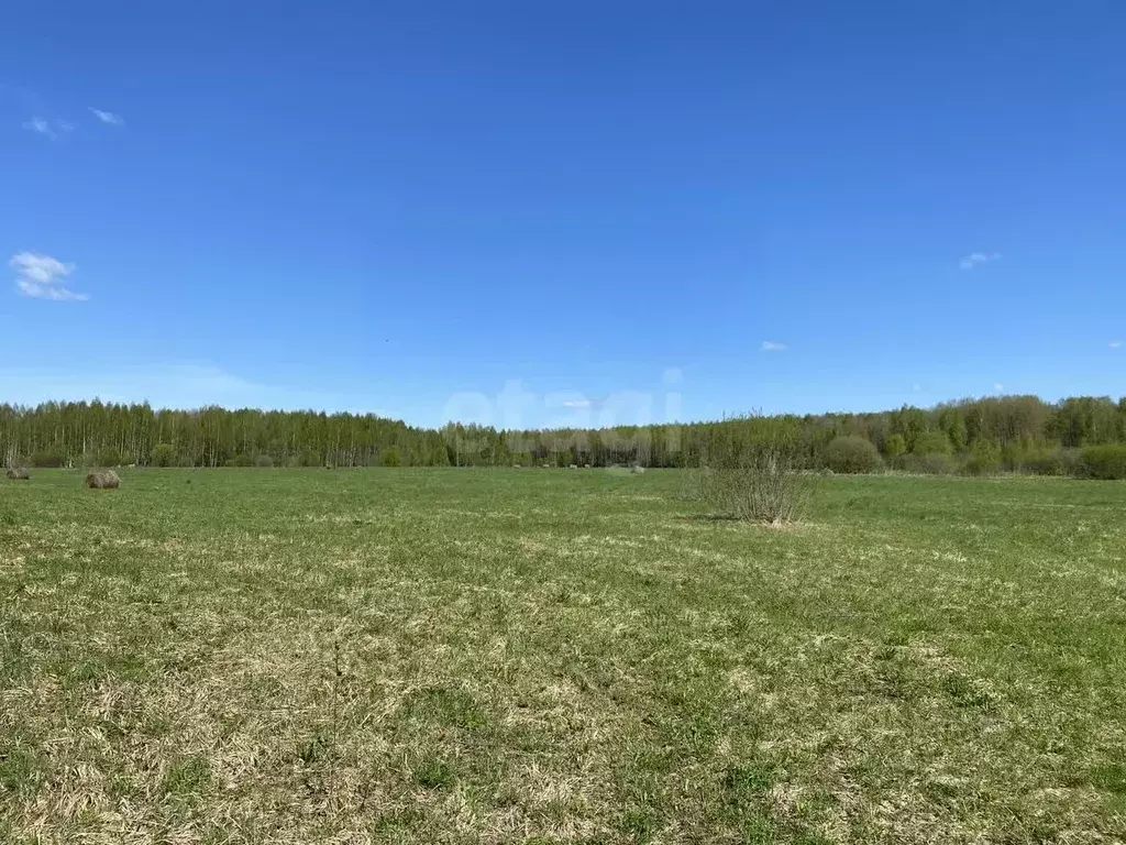 Участок в Московская область, Талдомский городской округ, д. Буртаки 5 ... - Фото 0