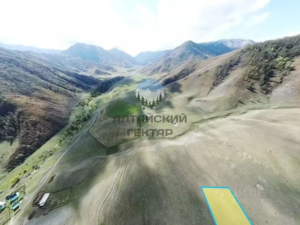 Участок в Алтай, Онгудайский район, с. Купчегень  (22.01 сот.) - Фото 1