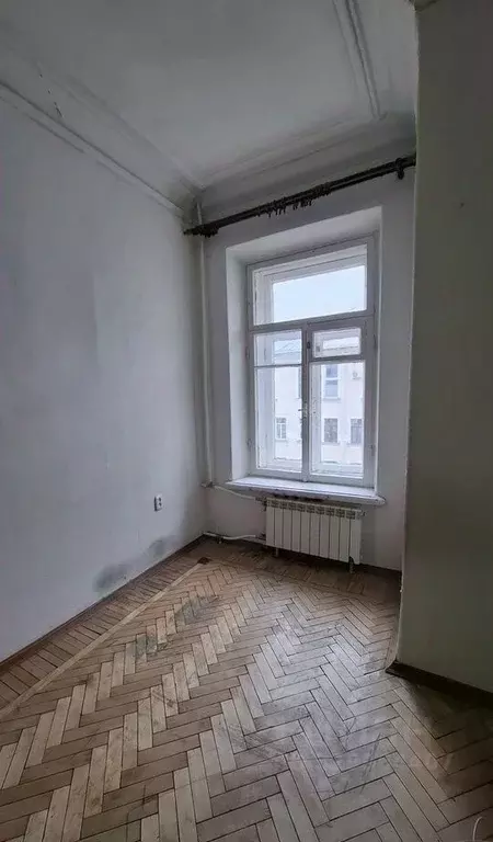 Комната Санкт-Петербург ул. Большая Зеленина, 28 - Фото 1