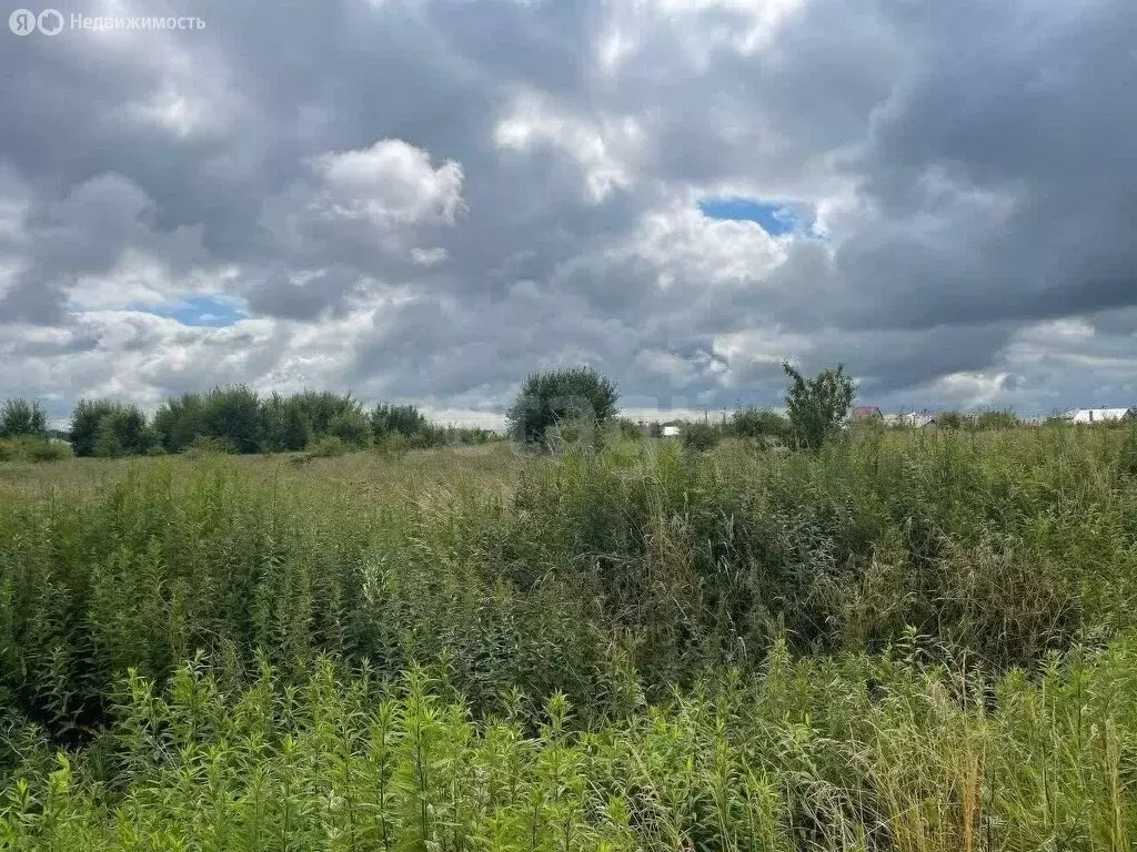 Участок в Калининградская область, Гурьевский муниципальный округ, ... - Фото 2