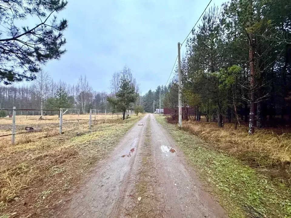 Участок в Московская область, Раменский муниципальный округ, село ... - Фото 1