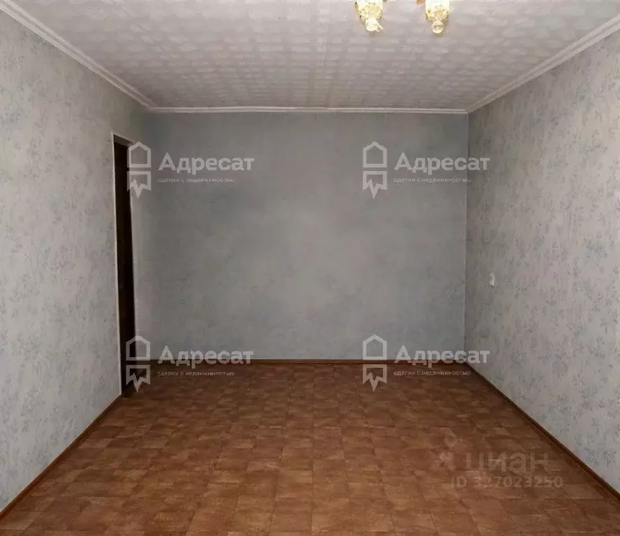 Комната Волгоградская область, Волгоград ул. Жолудева, 20А (17.0 м) - Фото 2