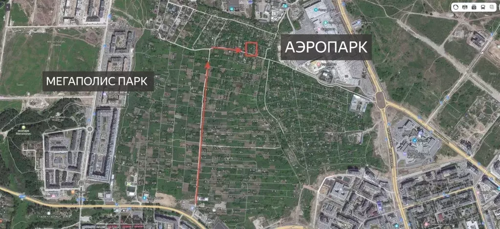 Участок в Брянская область, Брянский район, Снежское с/пос, пос. ... - Фото 1