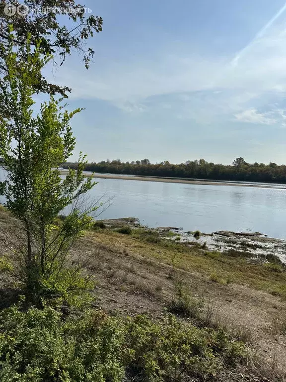 Участок в Ленинское сельское поселение, деревня Баташи, коттеджный ... - Фото 1