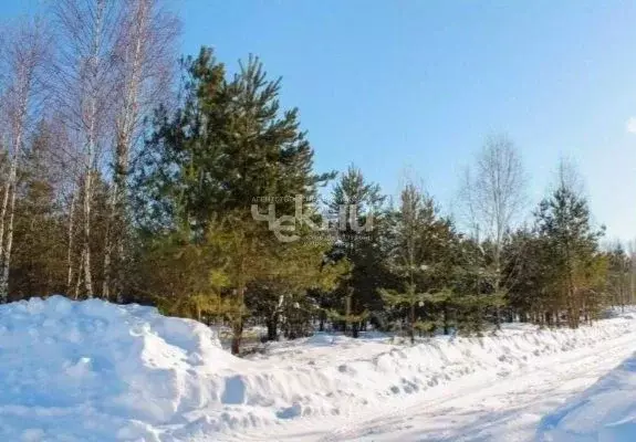 Участок в Нижегородская область, Бор городской округ, д. Княжево  ... - Фото 1