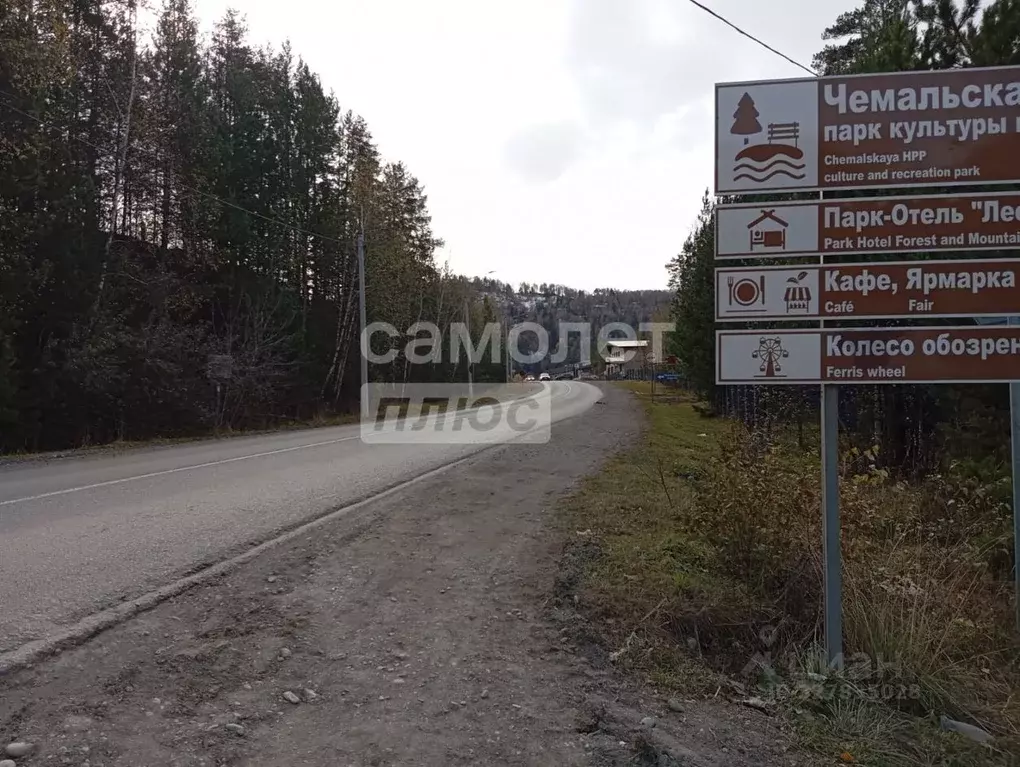Участок в Алтай, Чемальский район, с. Чемал ул. Новоселов (11.78 сот.) - Фото 2