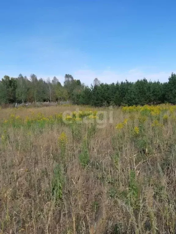 Участок в Алтайский край, Бийский район, Дубки СНТ ул. Лесная (9.4 ... - Фото 1