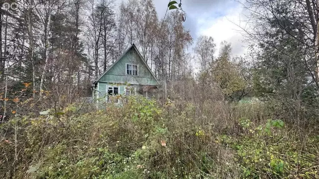 Участок в Богородский городской округ, СНТ Восход, 19 (6 м) - Фото 1