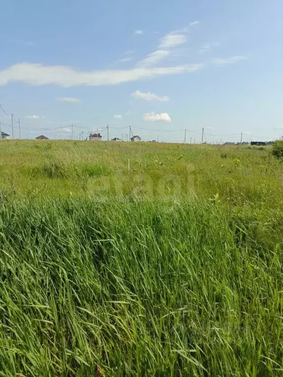 Участок в Липецкая область, Липецк Радужный кп, ул. Плодородная (10.8 ... - Фото 1