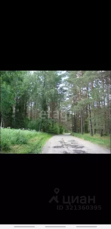 Участок в Псковская область, Печорский муниципальный округ, д. ... - Фото 2